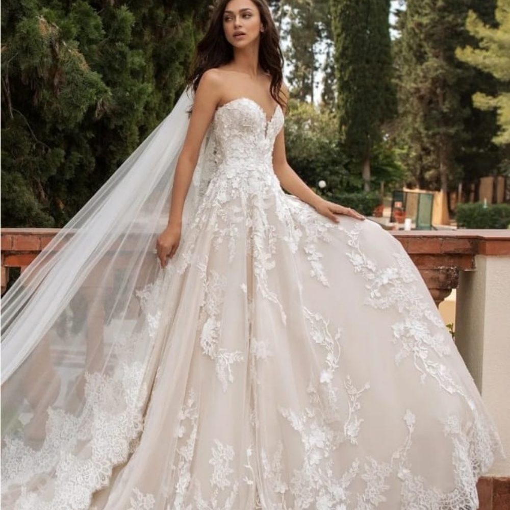 Pronovias Elcira Wedding Dress